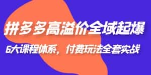 (6297期)拼多多-高溢价 全域 起爆,6大课程体系,付费玩法全套实战!-优优云创网