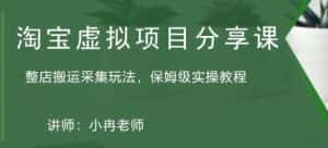 淘宝虚拟整店搬运采集玩法分享课：整店搬运采集玩法，保姆级实操教程-优优云创网
