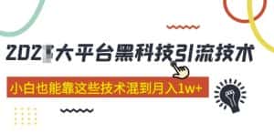 大平台黑科技引流技术,小白也能靠这些技术混到月入1w+(2022年的课程)-优优云创网