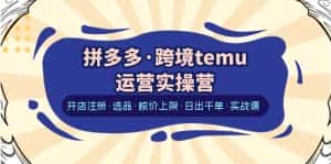 （6319期）拼多多·跨境temu运营实操营：开店注册·选品·核价上架·日出千单·实战课-优优云创网
