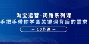 (6318期)淘宝运营-词路系列课:手把手带你学会关键词背后的需求(10节课)-优优云创网