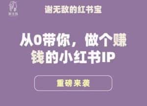 谢无敌·小红书运营大宝典,从0带你做个赚钱的小红书IP-优优云创网
