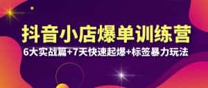 (6348期)抖音小店爆单训练营VIP线下课:6大实战篇+7天快速起爆+标签暴力玩法(32节)-优优云创网