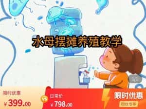 水母摆摊教学,包括摆摊技术、养殖技术、拿货渠道、抖音运营等-优优云创网