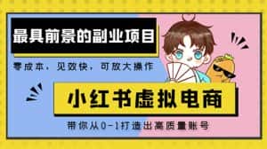 小红书蓝海大市场虚拟电商项目,手把手带你打造出日赚2000+高质量红薯账号-优优云创网