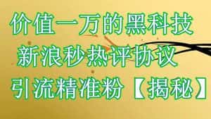 （6370期）价值一万的黑科技 新浪秒热评协议 引流精准粉【揭秘】-优优云创网