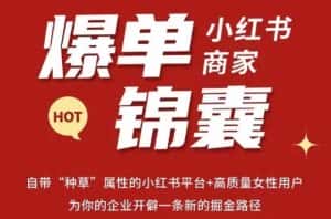 无畏·小红书商家爆单锦囊，掌握小红书各大规则，快速精准抢占行业和市场-优优云创网