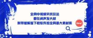 全网中视频另类玩法,都在闷声发大财,附带破解版下载软件加全网最大素材库-优优云创网