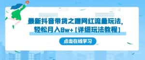 最新抖音带货之蹭网红流量玩法，轻松月入8w+【详细玩法教程】-优优云创网
