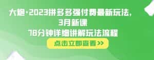 大炮·2023拼多多强付费最新玩法，3月新课​78分钟详细讲解玩法流程-优优云创网