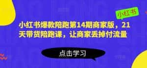 小红书爆款陪跑第14期商家版,21天带货陪跑课,让商家丢掉付流量-优优云创网