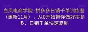 白凤电商学院·拼多多日销千单训练营，从0开始带你做好拼多多，日销千单快速复制（更新知2023年3月）-优优云创网