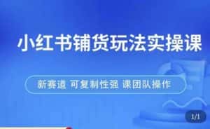 小红书铺货玩法实操课，流量大，竞争小，非常好做，新赛道，可复制性强，可团队操作-优优云创网