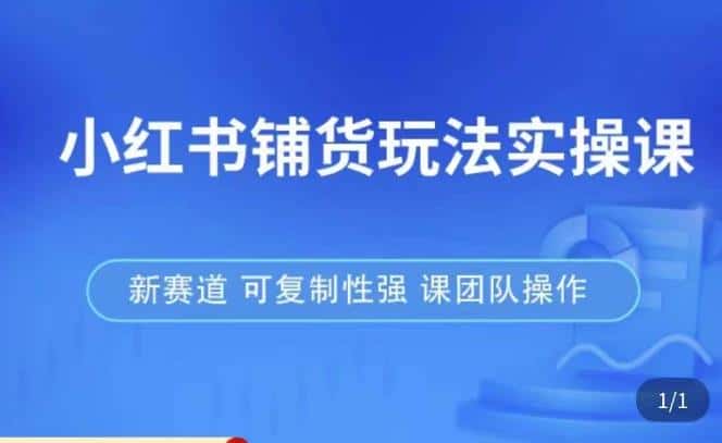 小红书铺货玩法实操课，流量大，竞争小，非常好做，新赛道，可复制性强，可团队操作
