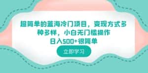 (6422期)超简单的蓝海冷门项目,变现方式多种多样,小白无门槛操作日入500+很简单-优优云创网