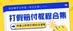 （6425期）2023年全套打假合集，集合市面所有正规打假玩法（非正规打假的没有）-优优云创网