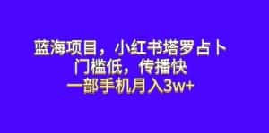 (6427期)蓝海项目,小红书塔罗占卜,门槛低,传播快,一部手机月入3w+-优优云创网