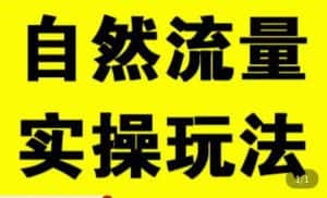 拼多多自然流量天花板,拼多多自然流的实操玩法,自然流量是怎么来的,如何开车带来自然流等知识-优优云创网