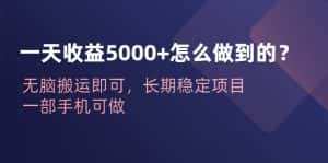 (6435期)一天收益5000+怎么做到的?无脑搬运即可,长期稳定项目,一部手机可做-优优云创网