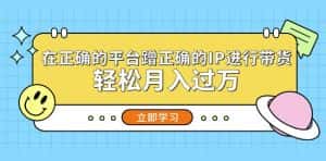 在正确的平台蹭正确的IP进行带货,轻松月入过万-优优云创网