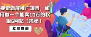 搜索霸屏推广项目，如何做一个能卖10万的权重6网站（揭秘）-优优云创网