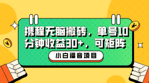 (6450期)小白新手福音:携程无脑搬砖项目,单号操作10分钟收益30+,可矩阵可放大-优优云创网