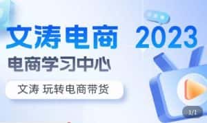 文涛电商·7天零基础自然流起号,快速掌握店铺运营的核心玩法,突破自然展现量,玩转直播带货-优优云创网