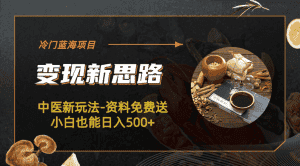 (6452期)冷门蓝海项目-中医新玩法-资料免费送小白也能日入500+-优优云创网
