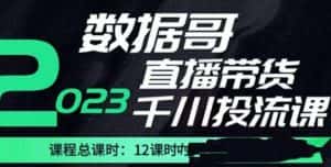 数据哥2023直播电商巨量千川付费投流实操课,快速掌握直播带货运营投放策略-优优云创网