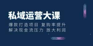 (6455期)私域运营大课:爆款打造项目 复购率提升 解决现金流压力 放大利润-优优云创网