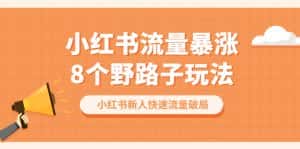 (6476期)小红书流量-暴涨8个野路子玩法:小红书新人快速流量破局(8节课)-优优云创网
