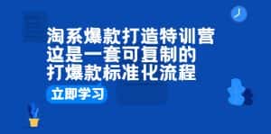 (6478期)淘系爆款打造特训营:这是一套可复制的打爆款标准化流程-优优云创网