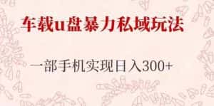 车载u盘暴力私域玩法,长期项目,仅需一部手机实现日入300+-优优云创网