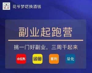 花爷-副业起跑营第2期,挑一门好副业,三周干起来(闲鱼|小红书|量化|套利)-优优云创网