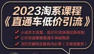 2023直通车低价引流玩法课程,小成本大流量,低价引流快速拉新收割,让你快速掌握直通车突破瓶颈-优优云创网