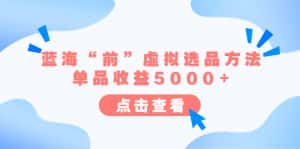 (6500期)某公众号付费文章《蓝海“前”虚拟选品方法:单品收益5000+》-优优云创网