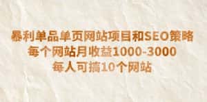 （6503期）暴利单品单页网站项目和SEO策略  每个网站月收益1000-3000  每人可搞10个-优优云创网