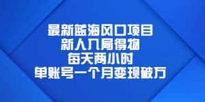 (6514期)最新蓝海风口项目,新人入局得物,每天两小时,单账号一个月变现破万-优优云创网