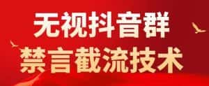 外面卖1500抖音粉丝群无视禁言截流技术，抖音黑科技，直接引流，0封号-优优云创网