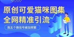 黑科技纯原创可爱猫咪图片,全网精准引流,实操5个VX号被加频繁-优优云创网