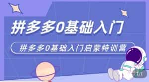 六一电商·拼多多运营0-1实操特训营,拼多多从基础到进阶的可实操玩法-优优云创网