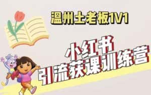 小红书1对1引流获客训练营:账号、内容、引流、成交(价值3999元)-优优云创网