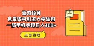 (6546期)蓝海项目,免费资料引流大学生粉一部手机实现日入300+-优优云创网