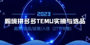(6550期)2023跨境·拼多多·TEMU实操与选品,趋势·选品·运营·入住(27节完整)-优优云创网