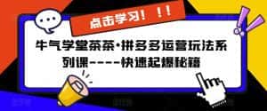 牛气学堂茶茶•拼多多运营玩法系列课—-快速起爆秘籍-优优云创网