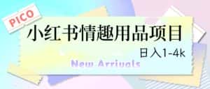 (6555期)最新小红书情趣用品项目,日入1-4k-优优云创网