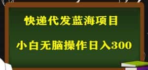 2023最新蓝海快递代发项目,小白零成本照抄也能日入300+-优优云创网