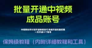 (6561期)外面收费1980暴力开通中视频计划教程,附 快速通过中视频伙伴计划的办法-优优云创网