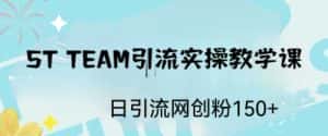 (6578期)ST TEAM引流实操课,日引流网创粉100+-优优云创网