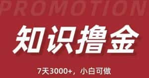 抖音知识撸金项目：简单粗暴日入1000+执行力强当天见收益(教程+资料)-优优云创网